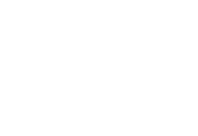 CDG Logo